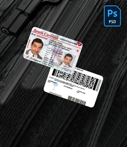 USA South Carolina state driving license PSD